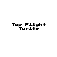 Top Flight Turtle Game